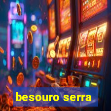 besouro serra-pau morde